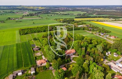 Manor House for sale Przedbórz, Łódź Voivodeship, View