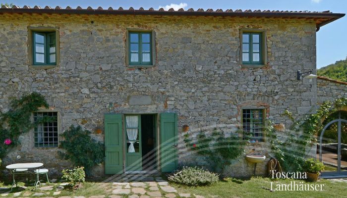 Country House Gaiole in Chianti 5