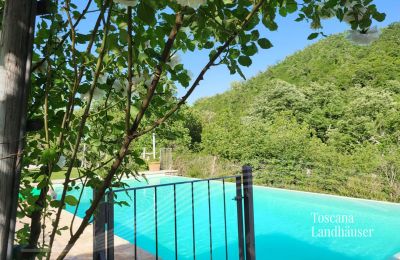 Country House for sale Gaiole in Chianti, Tuscany, RIF 3003 Weg zum Pool