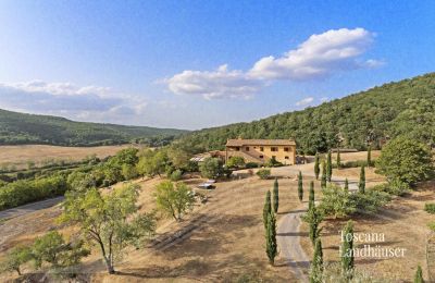 Country House for sale Sarteano, Tuscany, RIF 3005 Zufahrt zum Anwesen