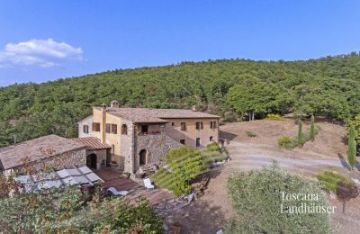 Country House for sale Sarteano, Tuscany, RIF 3005 Haus und Umgebung