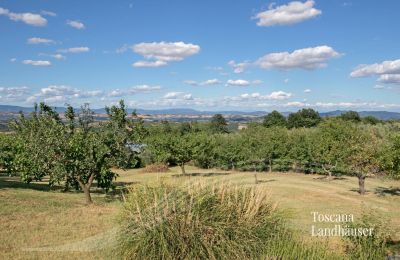 Farmhouse for sale Sarteano, Tuscany, RIF 3009 Panoramablick