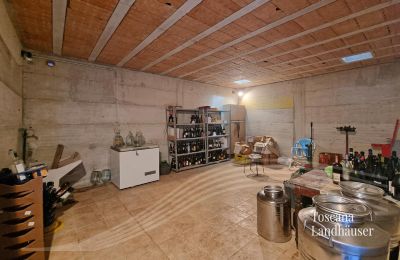 Farmhouse for sale Sarteano, Tuscany, RIF 3009 Cantina