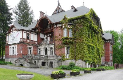 Historic Villa for sale Kudowa-Zdrój, Zdrojowa 36, Lower Silesian Voivodeship,, Side view