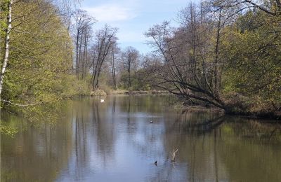 Historical park for sale Dębe Wielkie, Ruda, Masovian Voivodeship, Image 14/24