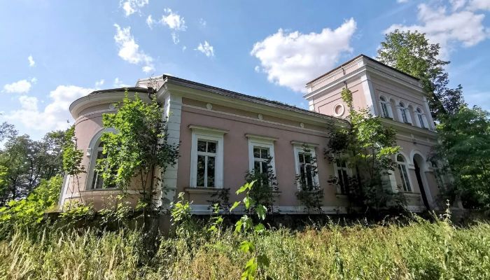 Manor House for sale Lubiatów, Łódź Voivodeship,  Poland