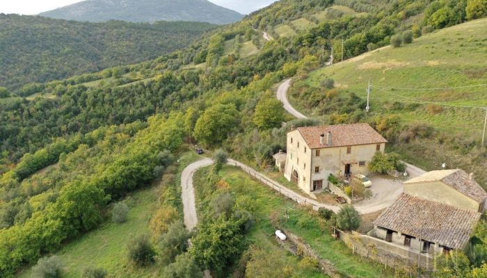 Farmhouse Pierantonio 3