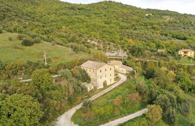 Farmhouse for sale 06019 Pierantonio, Umbria, Image 4/22