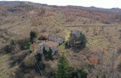 Farmhouse for sale 06019 Umbertide, Umbria, Image 12/20