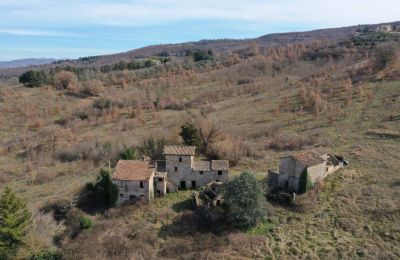 Farmhouse for sale 06019 Umbertide, Umbria, Image 3/20