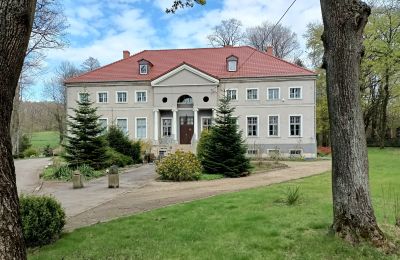 Castle for sale Sławnikowice, Slawnikowice 99, Lower Silesian Voivodeship, Front view