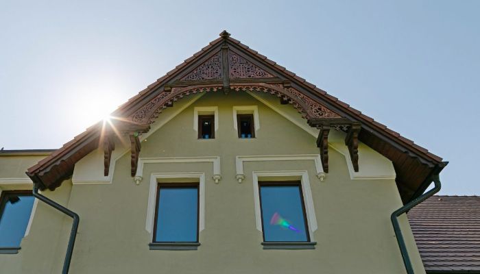 Historic Villa Strzelin 3