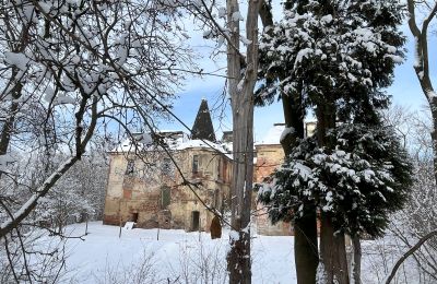 Castle for sale Komorowice, Wrocławska 27, Lower Silesian Voivodeship, Image 31/36