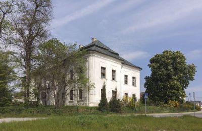 Castle for sale Pisarzowice, Opole Voivodeship, Image 3/17