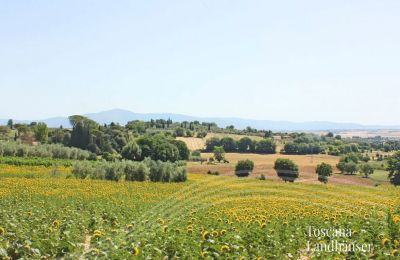 Historic Villa for sale Foiano della Chiana, Tuscany, View