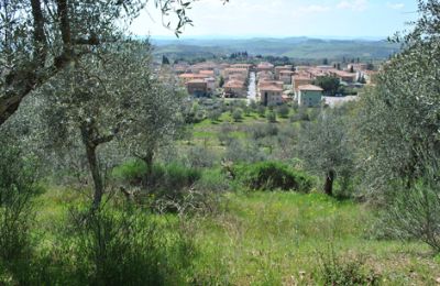 Farmhouse for sale Siena, Tuscany, RIF 3071 Ausblick