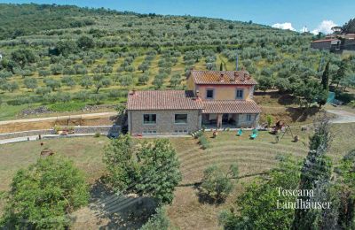 Country House for sale Cortona, Tuscany, RIF 3085 Garten vor Haus