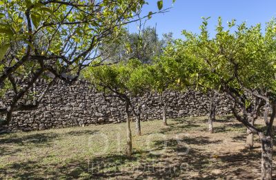 Historic Villa for sale Oria, Apulia, Image 16/34