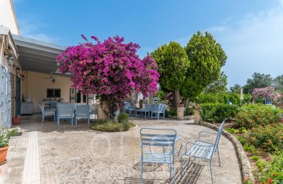 Historic Villa for sale Oria, Apulia, Image 28/34