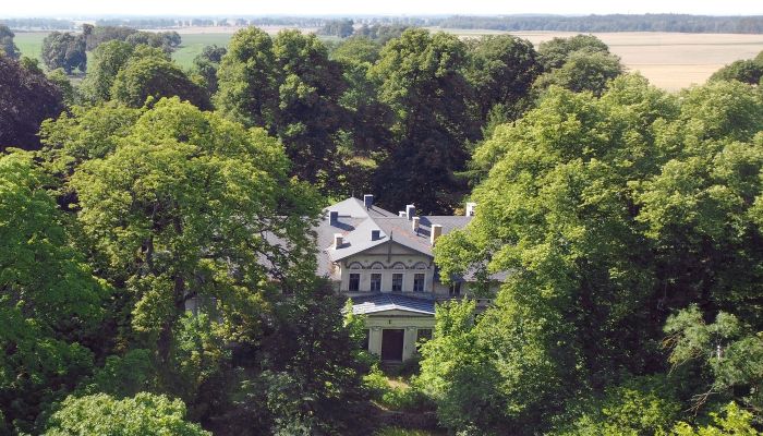 Castle for sale Stradzewo, West Pomeranian Voivodeship,  Poland