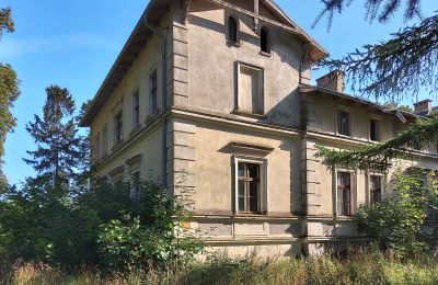 Castle for sale Stradzewo, Pałac w Stradzewie, West Pomeranian Voivodeship, Side view