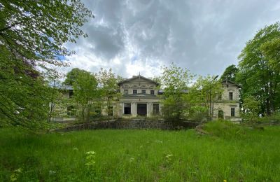 Castle for sale Stradzewo, Pałac w Stradzewie, West Pomeranian Voivodeship, Image 7/14