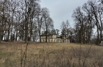 Castle for sale Stradzewo, Pałac w Stradzewie, West Pomeranian Voivodeship, Palace Garden