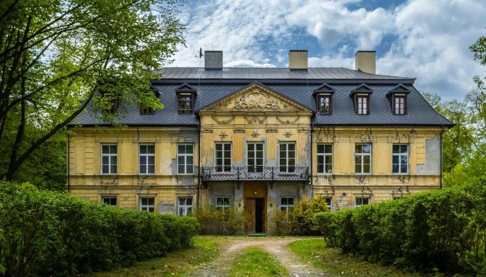 Castle for sale Nakło, Silesian Voivodeship,  Poland