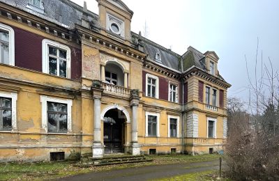 Castle for sale Olszyna Dolna, Pałac Olszyna, Lower Silesian Voivodeship, Front view