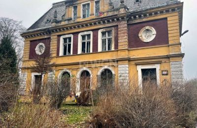 Castle for sale Olszyna Dolna, Pałac Olszyna, Lower Silesian Voivodeship, Image 4/7