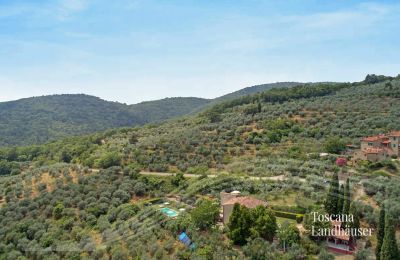 Country House for sale Loro Ciuffenna, Tuscany, RIF 3098 Anwesen und Umgebung