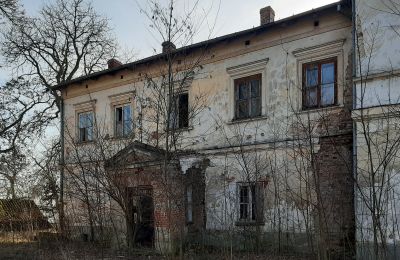 Endangered monuments in Poland: The palace in Sobieszyn, Lublin, Image 8