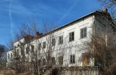 Endangered monuments in Poland: The palace in Sobieszyn, Lublin, Image 3