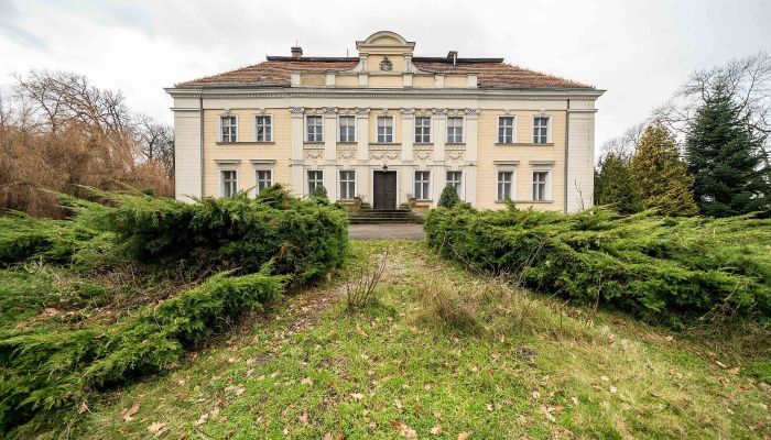 Castle for sale Gola, Greater Poland Voivodeship,  Poland