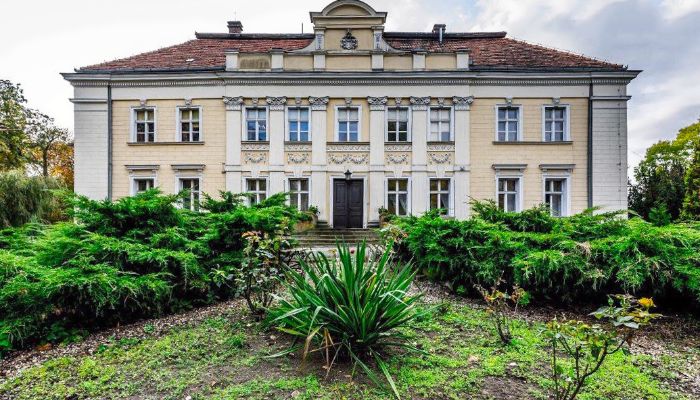 Castle Gola, Greater Poland Voivodeship