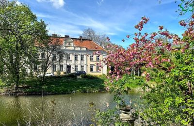 Character properties, Classical country mansion in Gola near Gostynin, Greater Poland