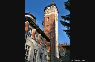 Historic Villa for sale Karlovy Vary, Karlovarský kraj, Image 4/10