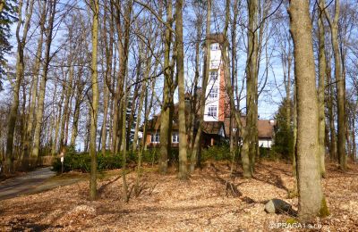 Historic Villa for sale Karlovy Vary, Karlovarský kraj, Image 6/10