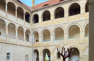 Castle for sale Štětí, Ústecký kraj, Courtyard