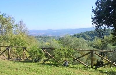 Historic Villa for sale Lazio, View