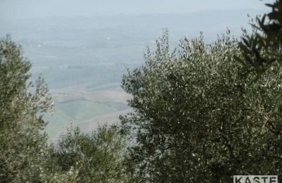 Country House for sale Rivalto, Tuscany, Image 9/14
