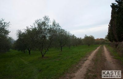 Monastery for sale Peccioli, Tuscany, Image 14/28