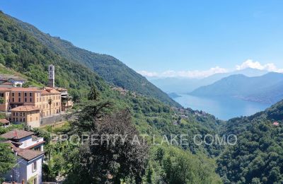 Historic Villa for sale Dizzasco, Lombardy, View