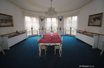 Manor House for sale Karlovy Vary, Karlovarský kraj, Interior 1
