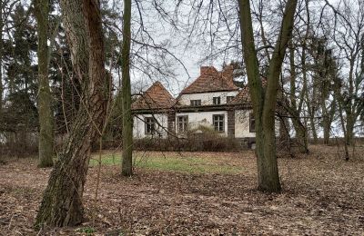 Manor House for sale Leszno, Greater Poland Voivodeship, Side view