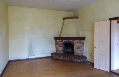 Manor House for sale Leszno, Greater Poland Voivodeship, Fireplace