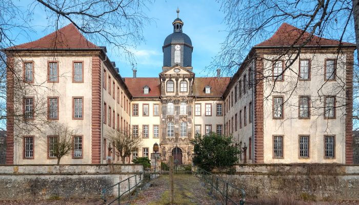 Foundation to save Friedrichswerth Castle