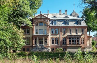 Castle Brzeźnica, Lubusz Voivodeship