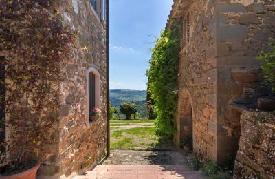 Farmhouse for sale Lamole, Tuscany, Image 1/37