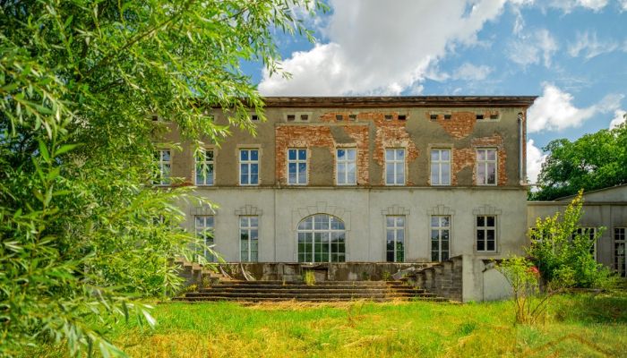 Castle Krąpiel 5